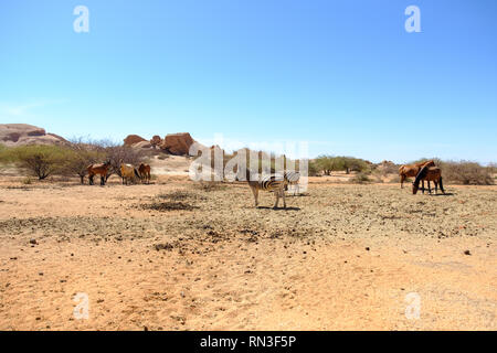 Grosse Spitzkuppe Nature Reserve in Namibia Stock Photo