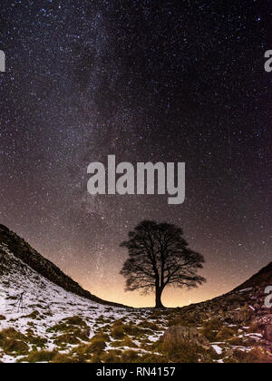 The Milky Way is visible in the night sky over Sycamore Gap on Hadrian's Wall in Northumberland on a winter night. Stock Photo