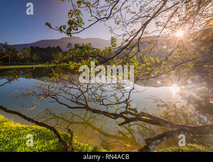 Taiping Heritage Lake Garden Stock Photo