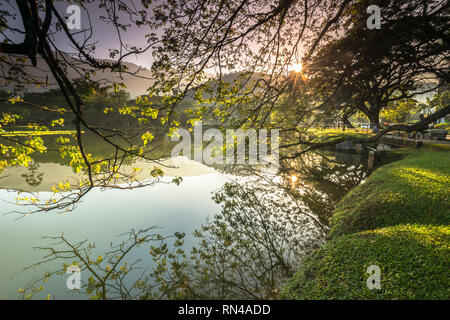 Taiping Heritage Lake Garden Stock Photo