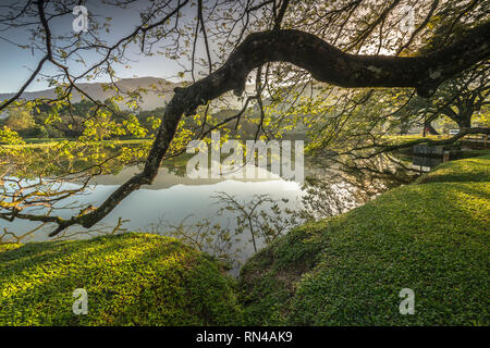 Taiping Heritage Lake Garden Stock Photo