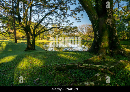 Taiping Heritage Lake Garden Stock Photo