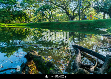 Taiping Heritage Lake Garden Stock Photo