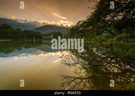 Taiping Heritage Lake Garden Stock Photo