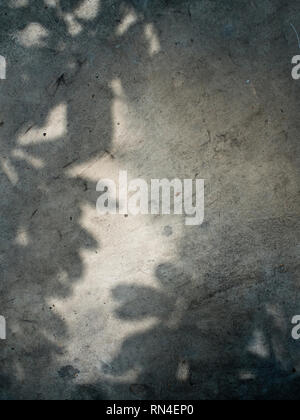 Shadow of leaf on Concrete floor Stock Photo
