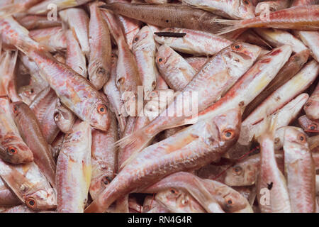 Medterranean fish exposed at open seamarket, Naples Stock Photo