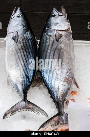 Medterranean fish exposed at open seamarket, Naples Stock Photo