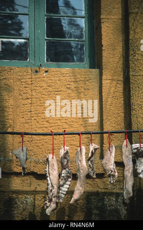 Caption: Lushan, Hefei, China - Nov 2002. Drying meat in the old European hill station of Lushan, a small town above the Yangtze River.  Lushan, a hil Stock Photo