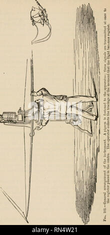 . Animal mechanism: a treatise on terrestrial and aerial locomotion. Animal locomotion. . Please note that these images are extracted from scanned page images that may have been digitally enhanced for readability - coloration and appearance of these illustrations may not perfectly resemble the original work.. Marey, Etienne-Jules, 1830-1904. New York : D. Appleton and co. Stock Photo