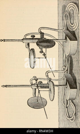 . Animal mechanism: a treatise on terrestrial and aerial locomotion. Animal locomotion. !. Please note that these images are extracted from scanned page images that may have been digitally enhanced for readability - coloration and appearance of these illustrations may not perfectly resemble the original work.. Marey, Etienne-Jules, 1830-1904. New York : D. Appleton and co. Stock Photo