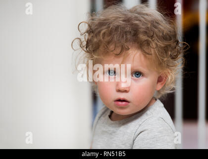 Adorable curly blond haired blue eyed child looking straight at camera.  Image is from shoulders up.  There is room for copy on left side of image. Stock Photo