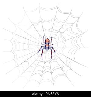 Exotic danger spider with red spots on complicated web isolated on white Stock Vector