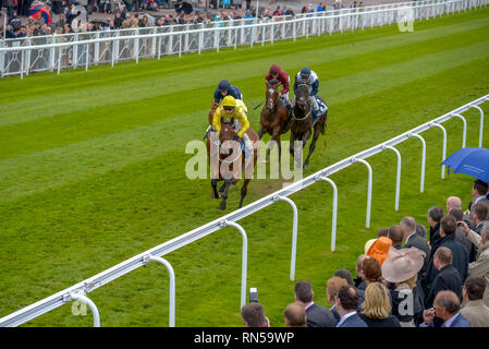 The Chester Vase race meeting at Chester Races. Stock Photo