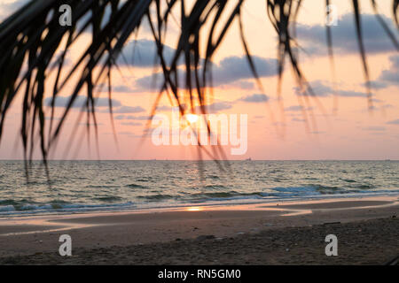 Beautiful pink sunset over sea with palm leaves, background Stock Photo
