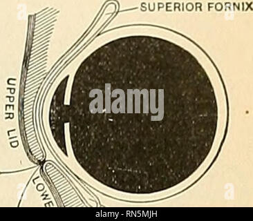. Anatomy, descriptive and applied. Anatomy. THE APPENDAGES OF THE EYE ...