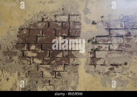 Empty Old Brick Wall Texture. Painted Distressed Wall Surface. Grungy Wide Brickwall. Grunge Red Stonewall Background. Shabby Building Facade With Stock Photo