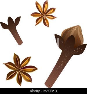 Vector illustration. Cloves and star anise set Stock Vector