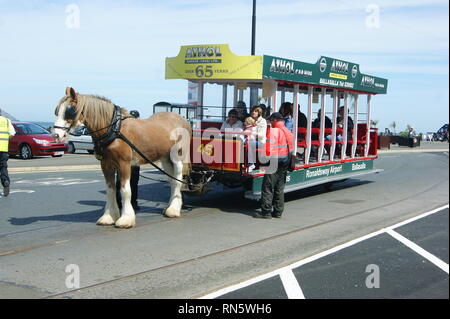 Horse tram No45, Douglas Promenade, Isle of Man Stock Photo