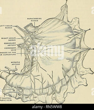 fosa pararrectal