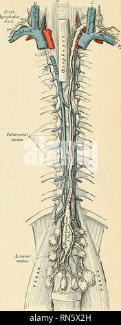 . Anatomy, descriptive and applied. Anatomy. ^ Ductus Endolymphaticus ...