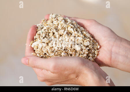 Woman's hands holding sand in front of a blurred beach background Stock Photo