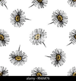 Seamless pattern of hand drawn sketch style daisies isolated on white background. Vector illustration. Stock Vector