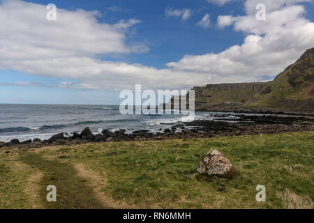 Giant's Causeway park landscape, marine environment, Northern Ireland, Europe Stock Photo