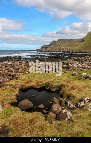 Giant's Causeway park landscape, marine environment, Northern Ireland, Europe Stock Photo