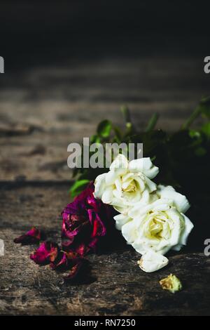 Beautiful dry red and white roses  on grunge wooden background,still life Stock Photo
