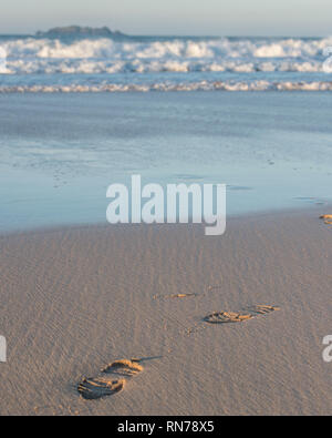 footprints in sand from sea Stock Photo