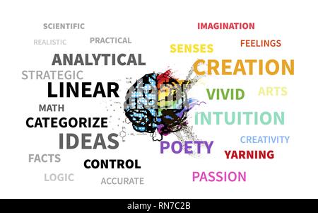 Technical and creative hemispheres on human brain, text infographic on white Stock Vector