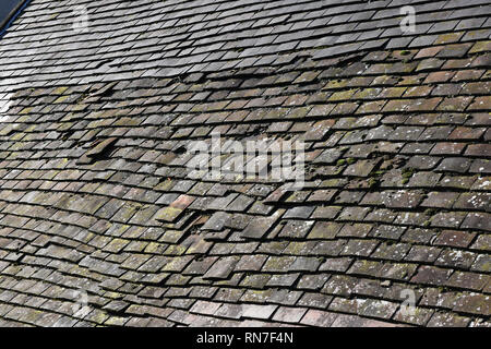 Old clay tiled roof on cottage in need of repair Stock Photo