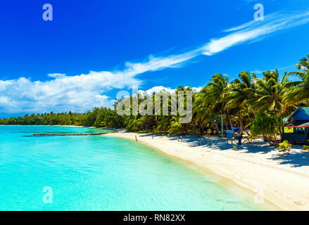 Stunning tropical Aitutaki island with palm trees, white sand, turquoise ocean water and blue sky at Cook Islands, South Pacific. Copy space for text Stock Photo