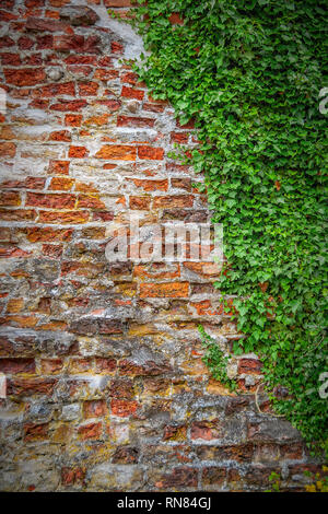 The remains of the town wall that once encircled much of Ahus. It is considered to be Swedenâ€™s best preserved medieval town wall after Visby on the  Stock Photo