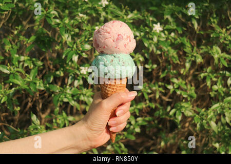 Hand holding an Ice cream cone with two scoops in the sunlight against blurry flowering tree Stock Photo