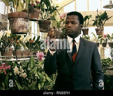 SIDNEY POITIER, IN THE HEAT OF THE NIGHT, 1967 Stock Photo