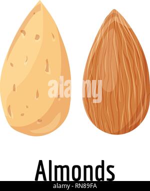 Almonds icon. Cartoon of almonds vector icon for web design isolated on white background Stock Vector