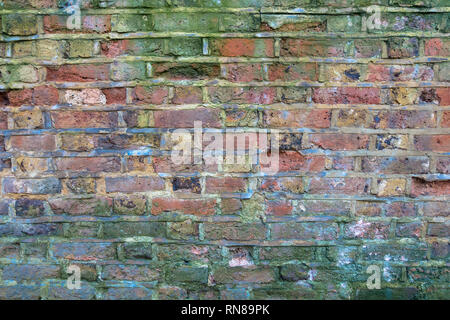 An old brick wall which is starting to crumble and is stained green by algae. Stock Photo