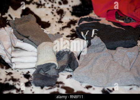 Doing laundry with pets. Stock Photo