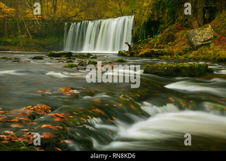 Sqwd Ddwli Waterfall, Brecon Beacons, Wales, UK Stock Photo