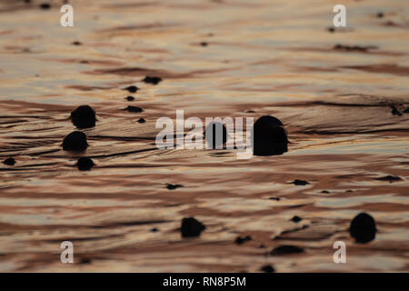 sand and pebbles on the beach at sunset with water glistening with red and orange light, Portsmouth, Hampshire, UK Stock Photo