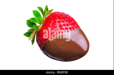 Fondue strawberry in hot black chocolate  isolated on white background Stock Photo
