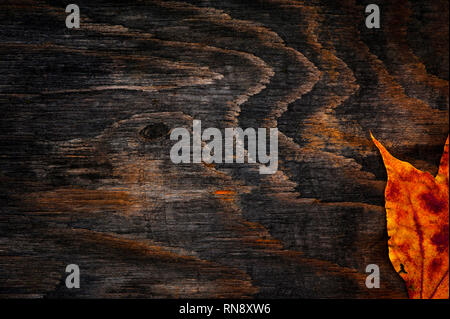 Late autumn with decaying maple leaf close-up on stained board. Stock Photo