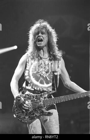 Def Leppard bassist Rick Savage is shown performing on stage during a concert appearance. Stock Photo