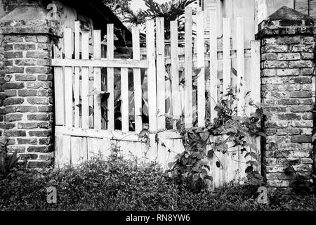 Old wooden picket front gates overrun with wild plants between brick wall columns Stock Photo