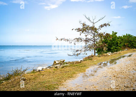Tropical island seaside coastline. Puddles of water after rain/rainfall. Stock Photo