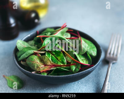 Fresh salad of green chard leaves or mangold on gray stone background. Fresh baby beet leaves in craft ceramic bowl. Copy space for text. Natural day light Stock Photo
