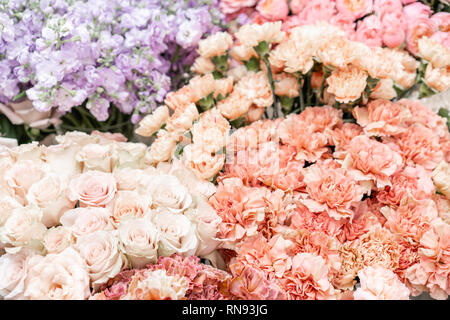 Floral carpet, flower texture, shop concept. Beautiful fresh blossoming flowers roses, spray roses, lilac gillyflower and carnation. Blossom of pastel Stock Photo