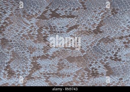 Blue python snake skin with scales and texture Stock Photo