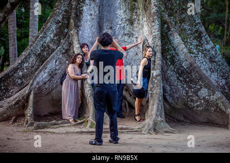 A family taking a photograph among the extremities of a majestic Ceiba tree with the greenery of a forest in the background Stock Photo